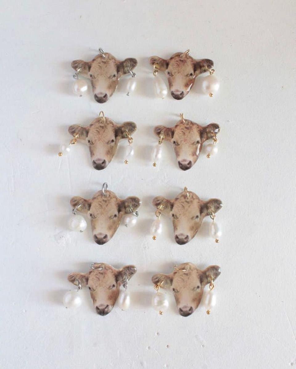 Krowa z piercingiem na rzemyku