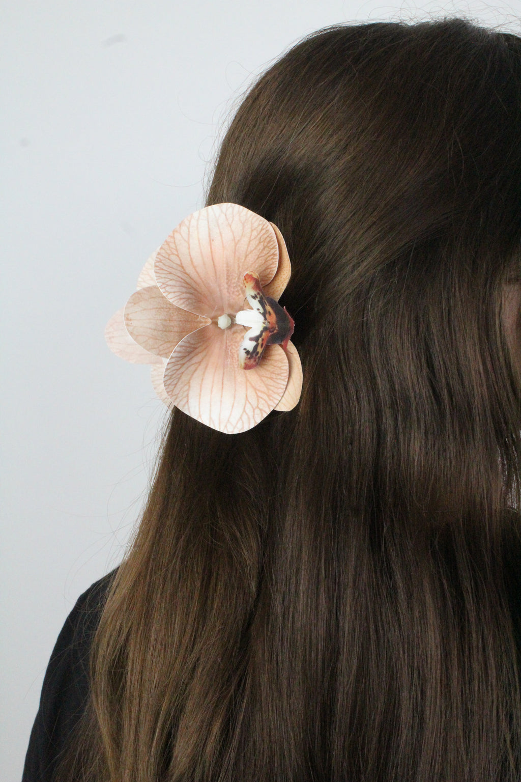 Spinka No.24 Mokka Orchidea