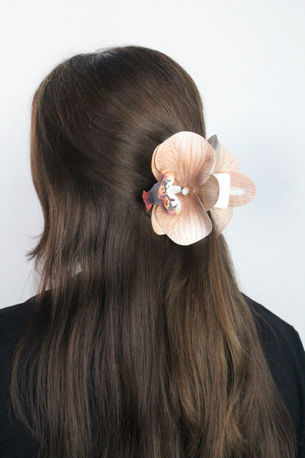 Spinka No.24 Mokka Orchidea