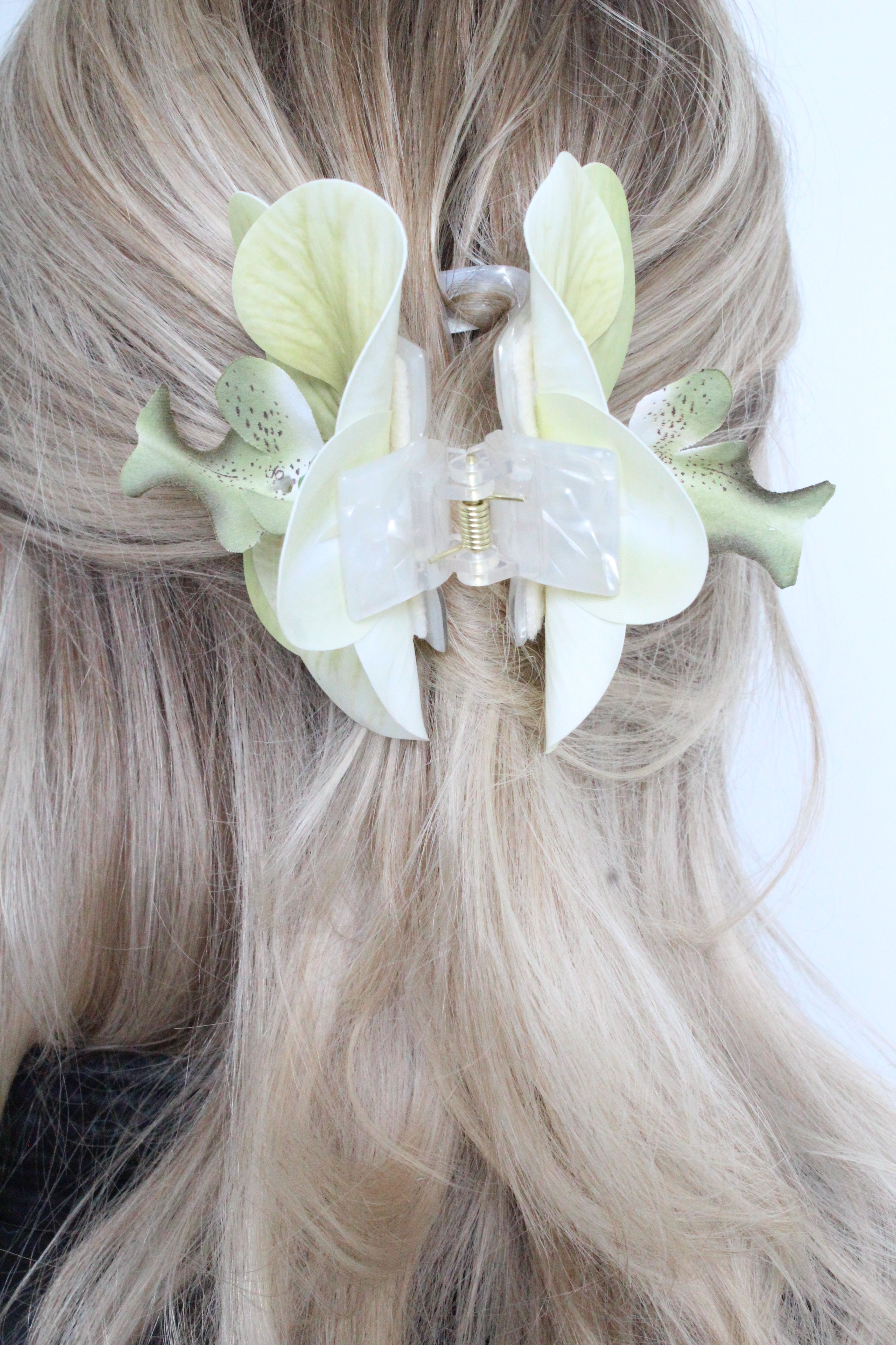 Spinka No.17 Oliwkowa orchidea