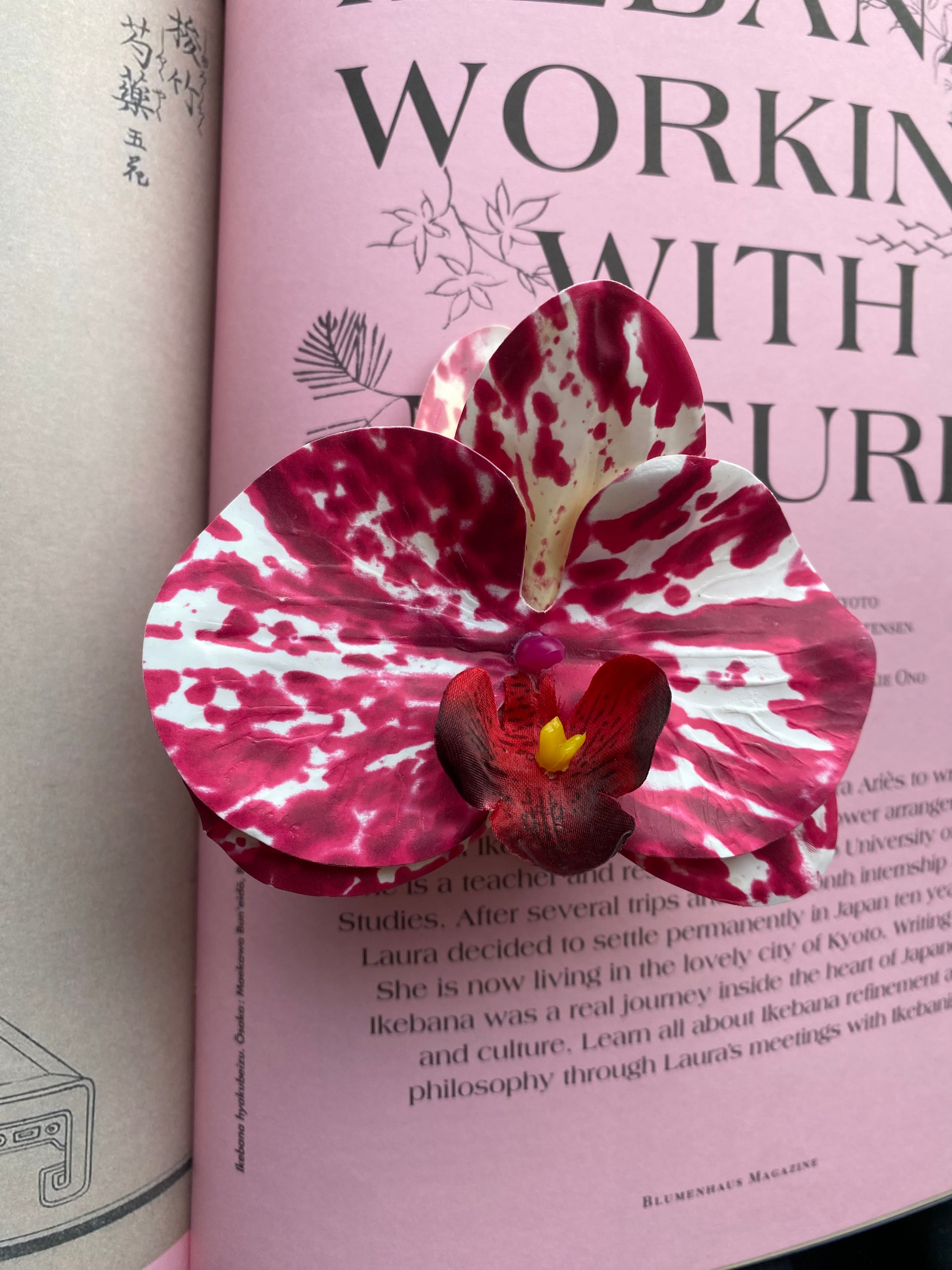 Spinka No.16 Tokyo Cherry