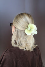 Spinka No.17 Oliwkowa orchidea