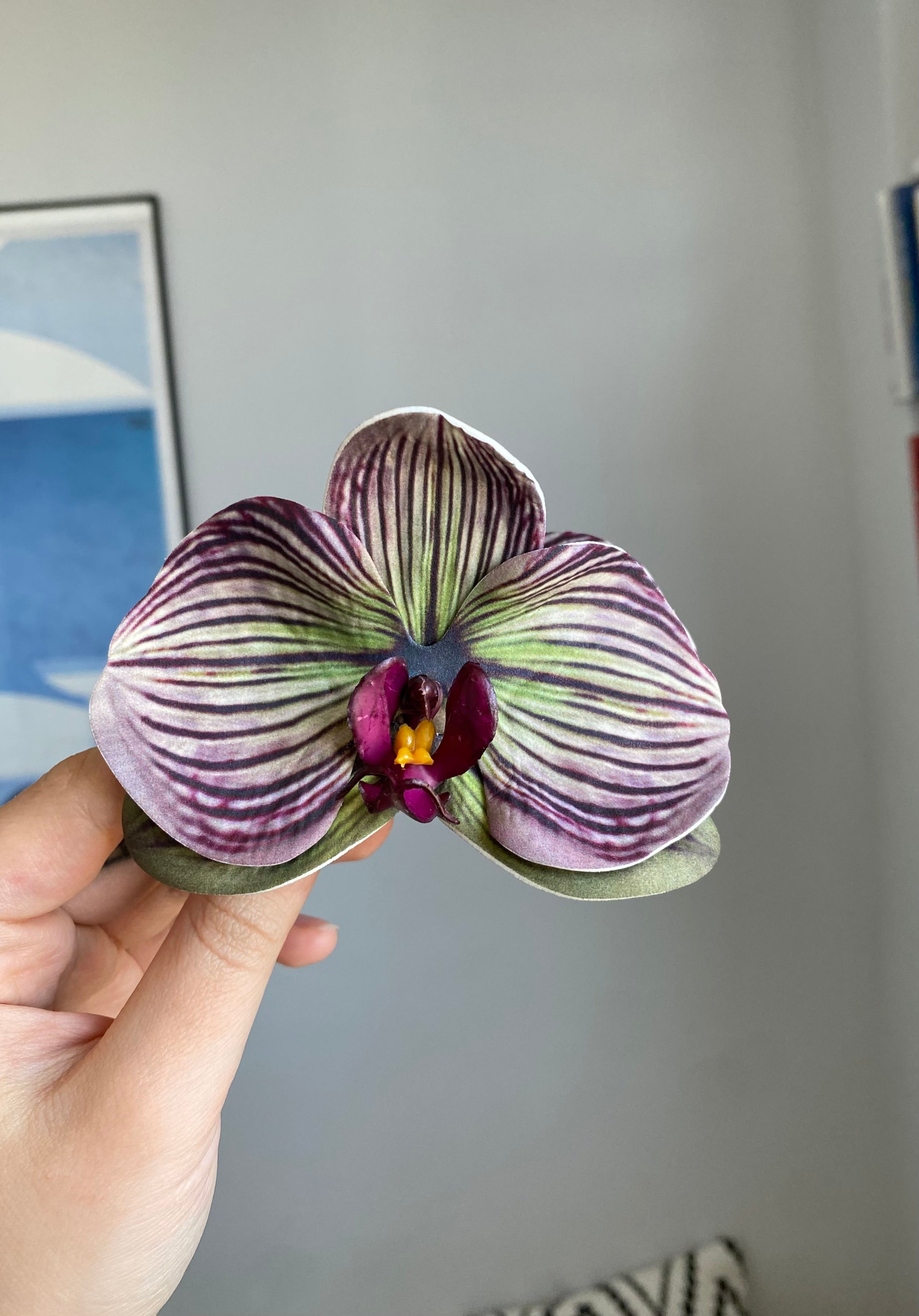 Spinka No.14 orchidea w prążki