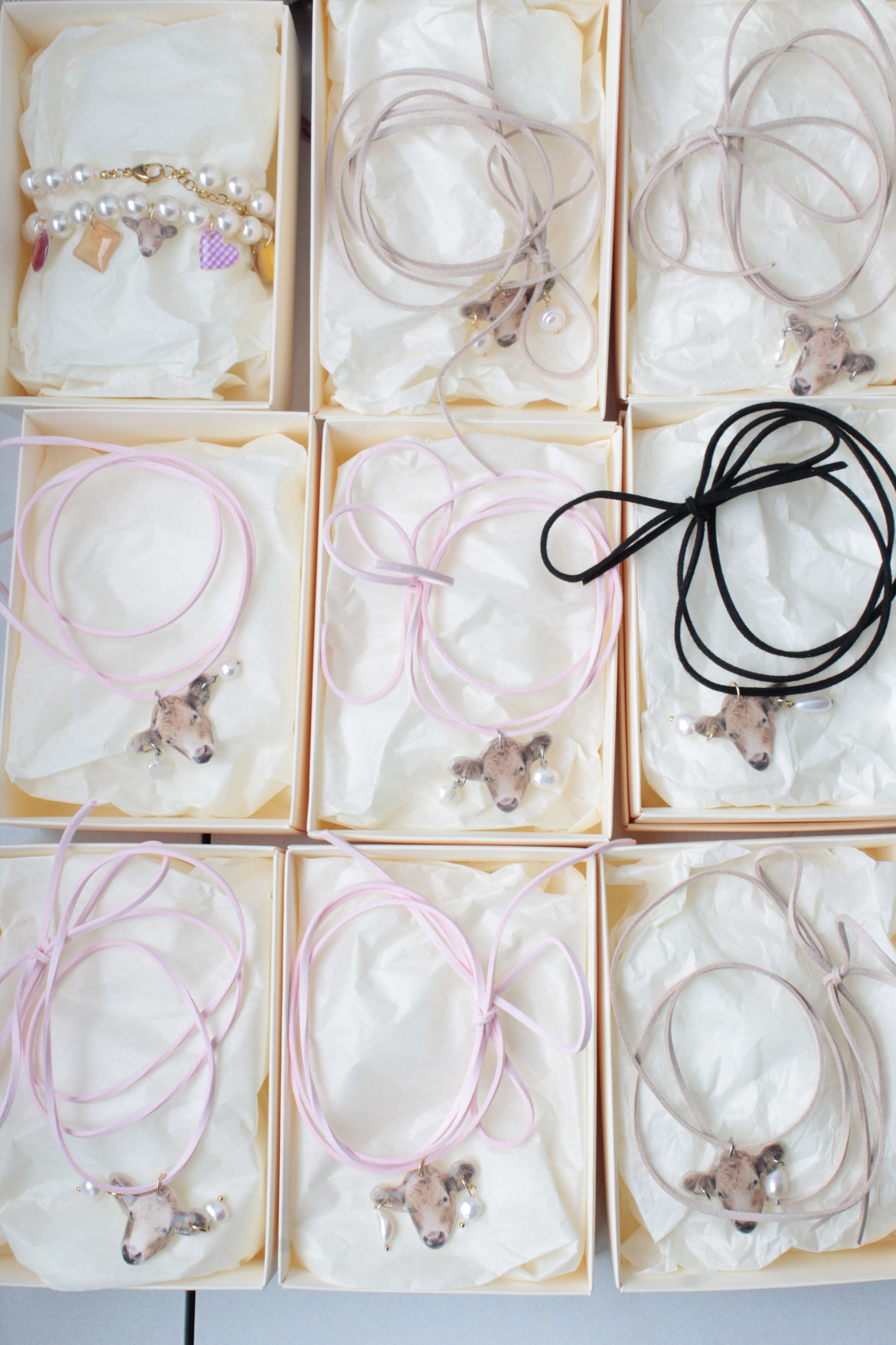 Krowa z piercingiem na rzemyku