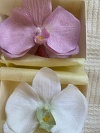 Spinka No.1 jedwabna Kremowa Orchidea