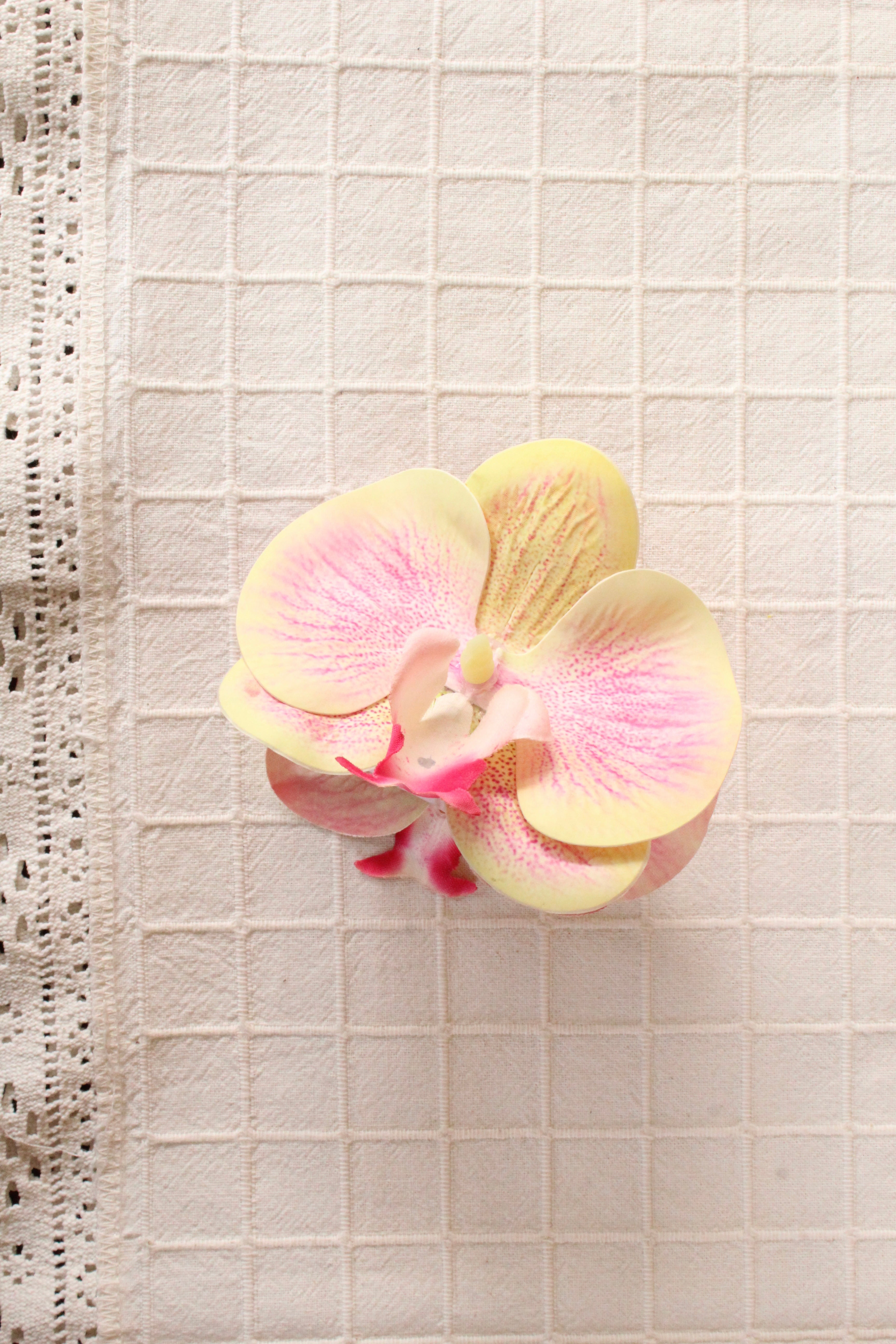 Spinka No.12 żółto-różowa Orchidea