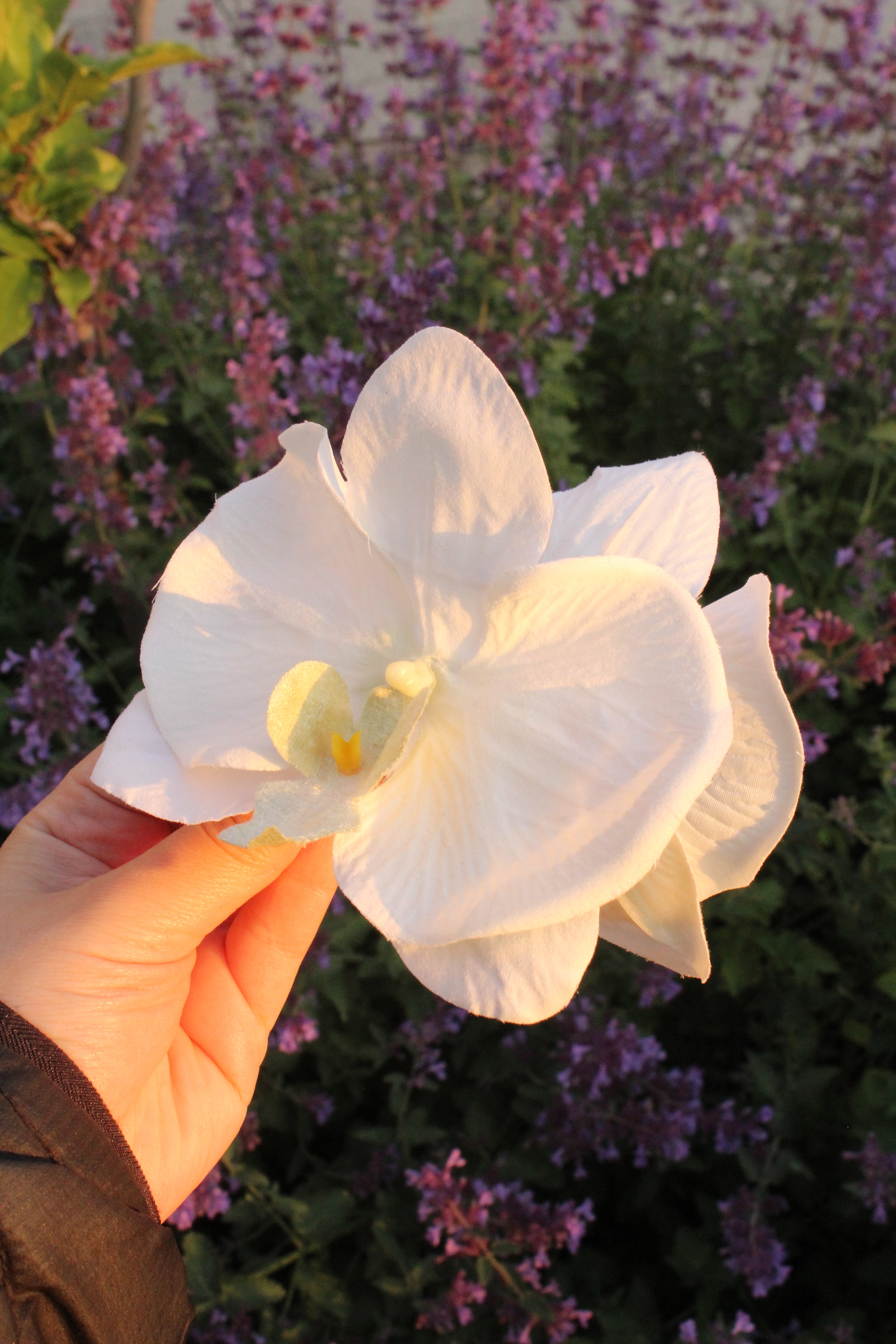 Spinka No.1 jedwabna Kremowa Orchidea