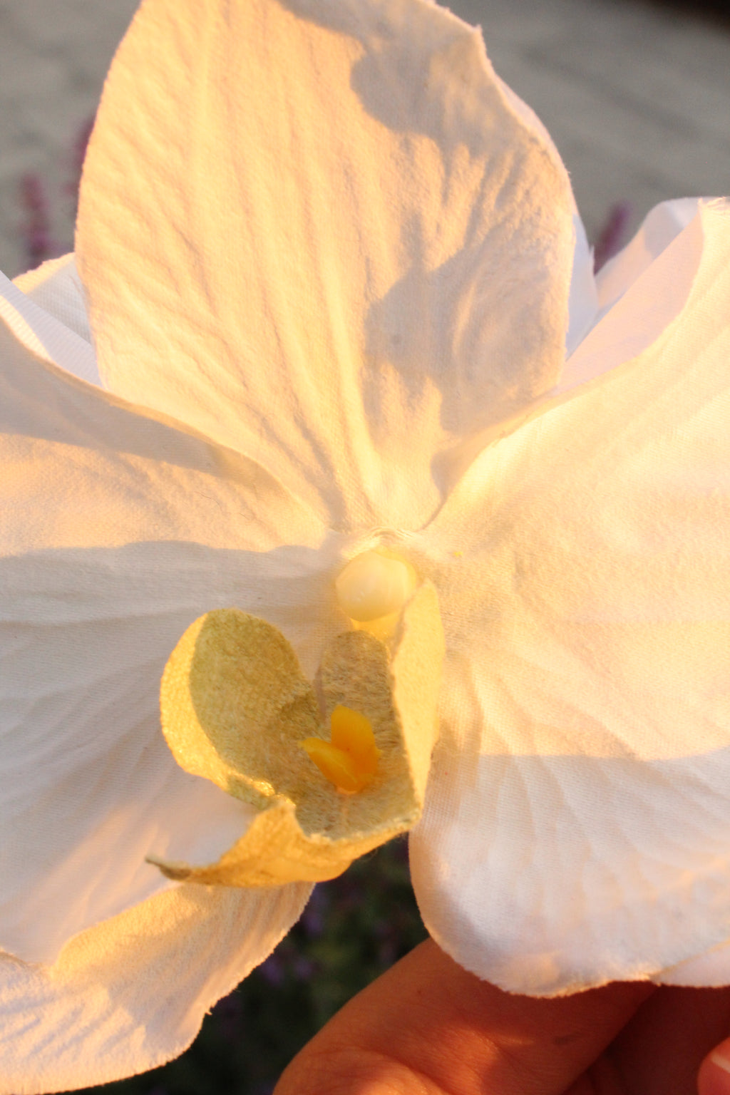 Spinka No.1 jedwabna Kremowa Orchidea