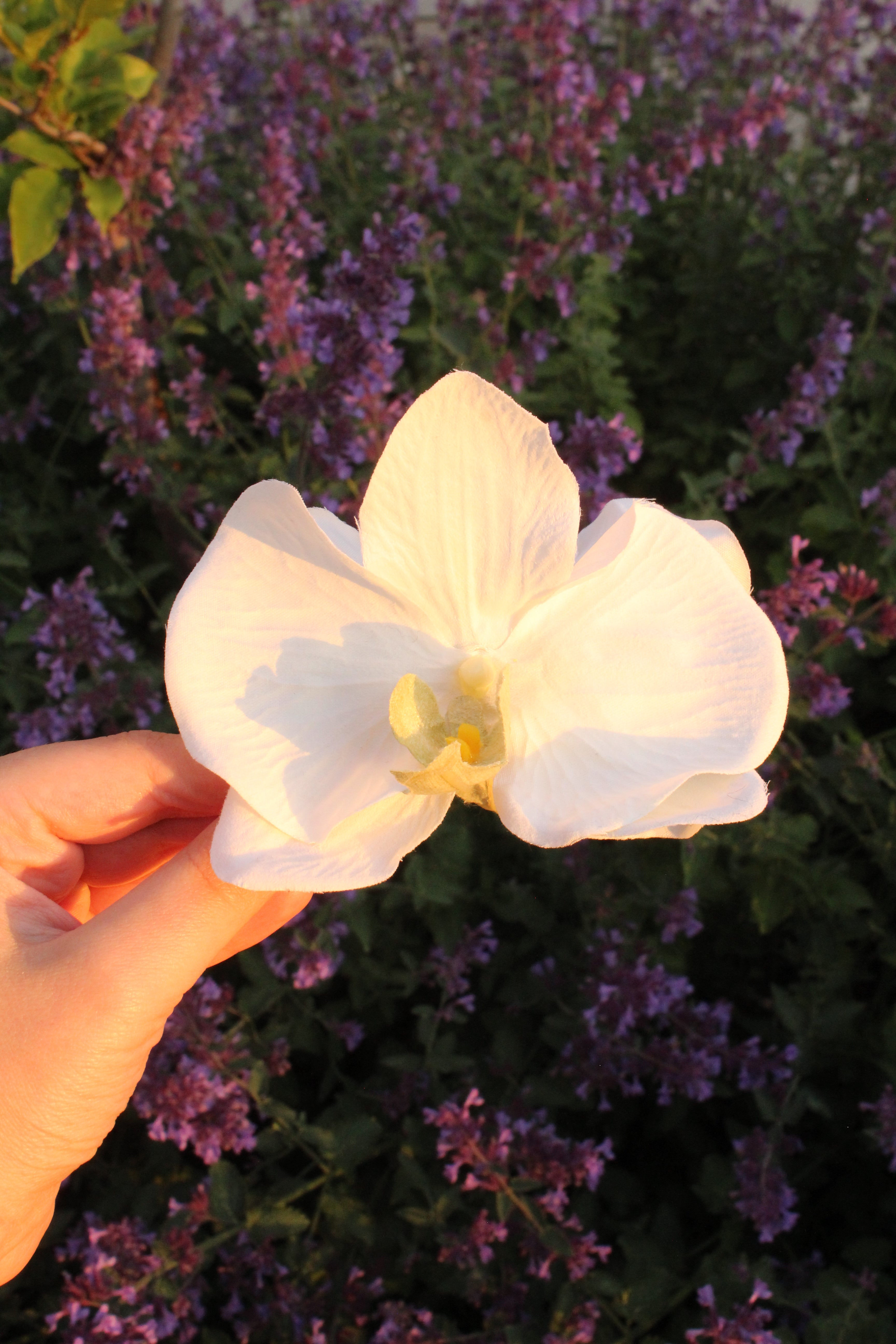 Spinka No.1 jedwabna Kremowa Orchidea