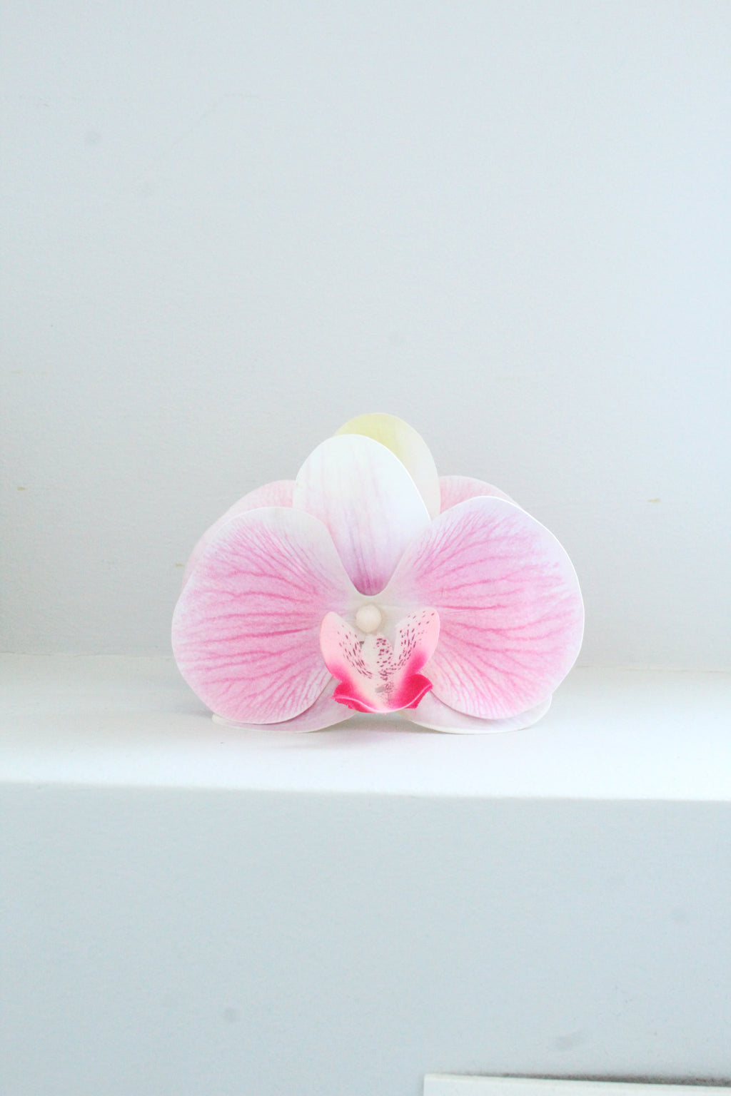 Spinka No.13 Orchidea Róż