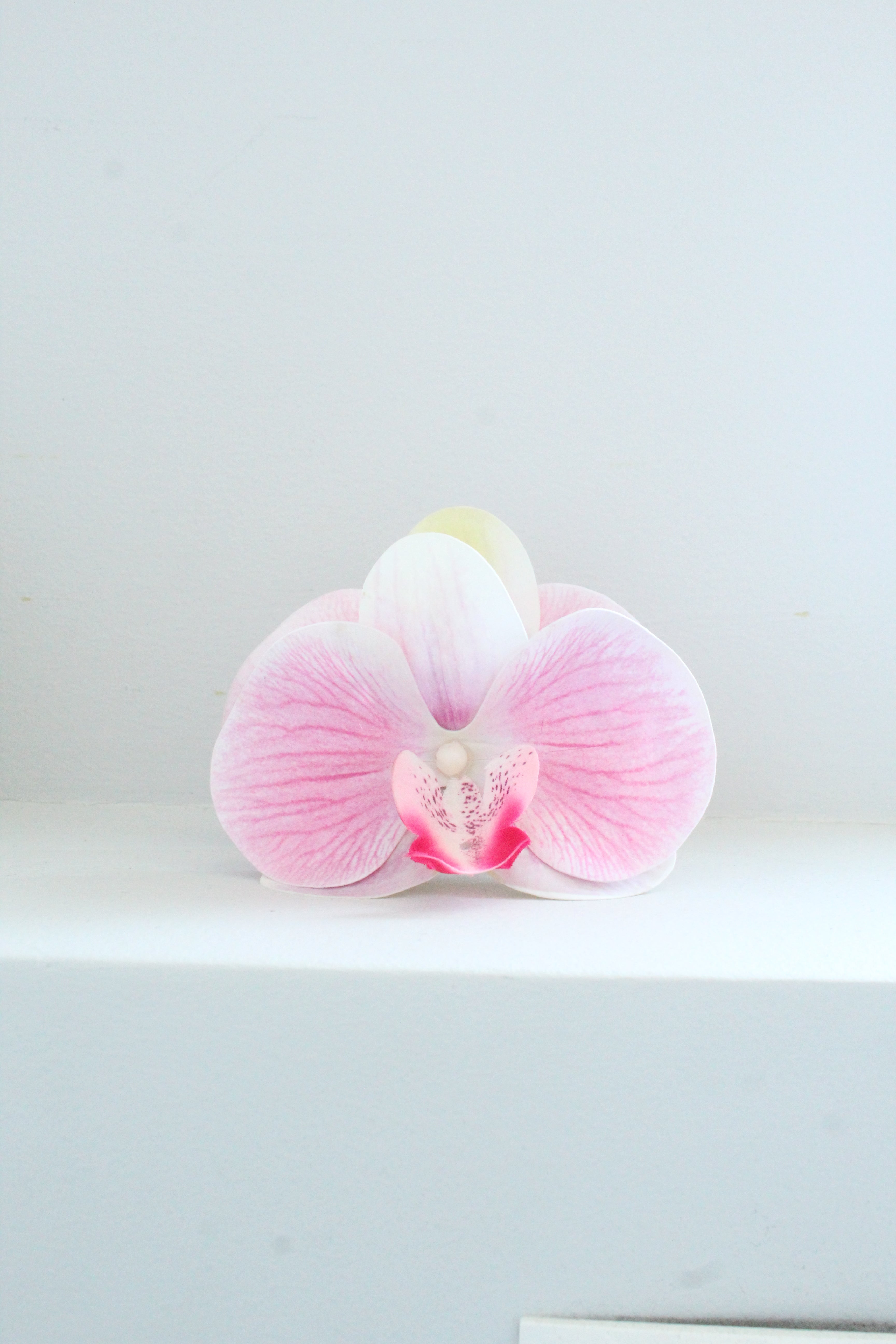 Spinka No.13 Orchidea Róż