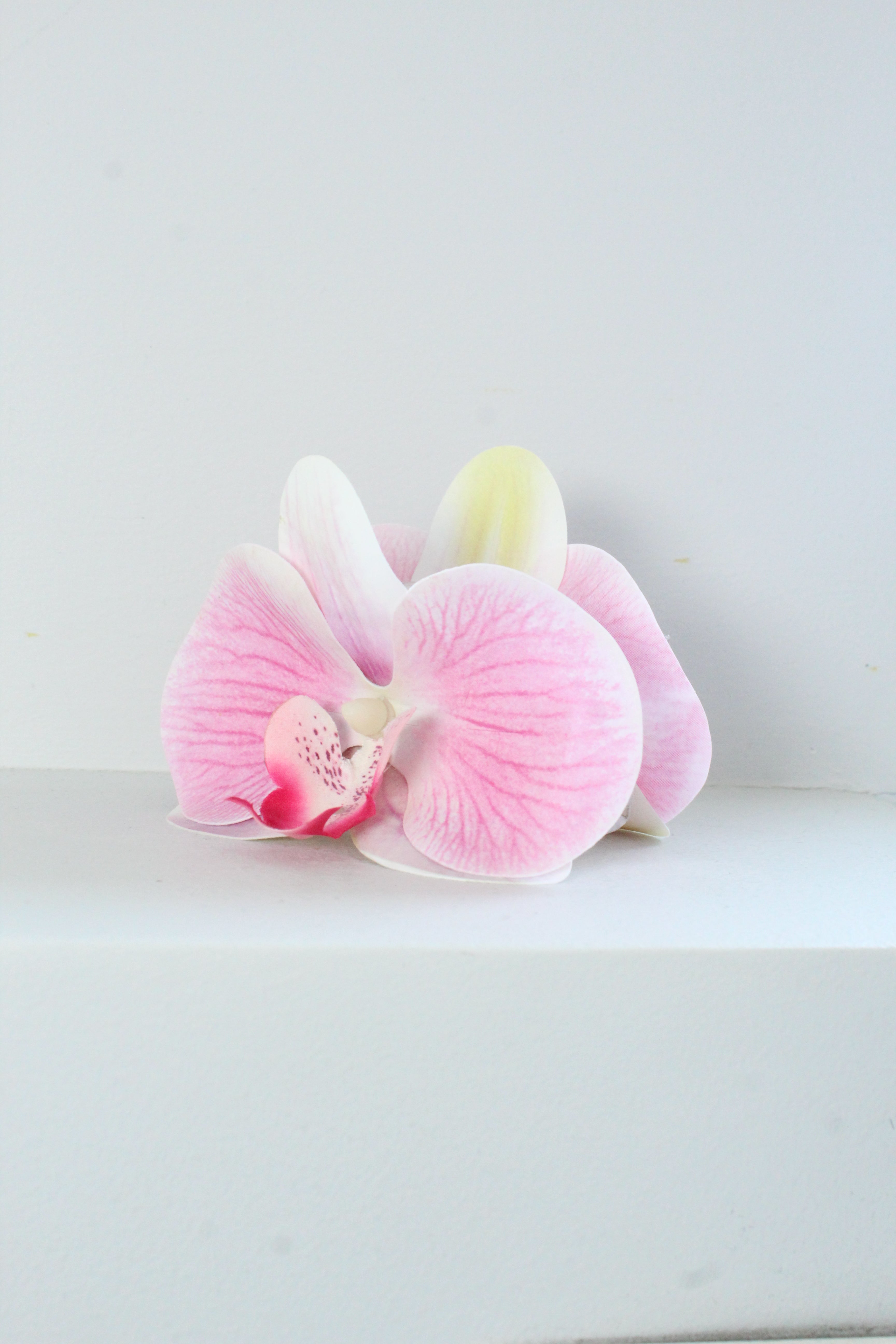 Spinka No.13 Orchidea Róż