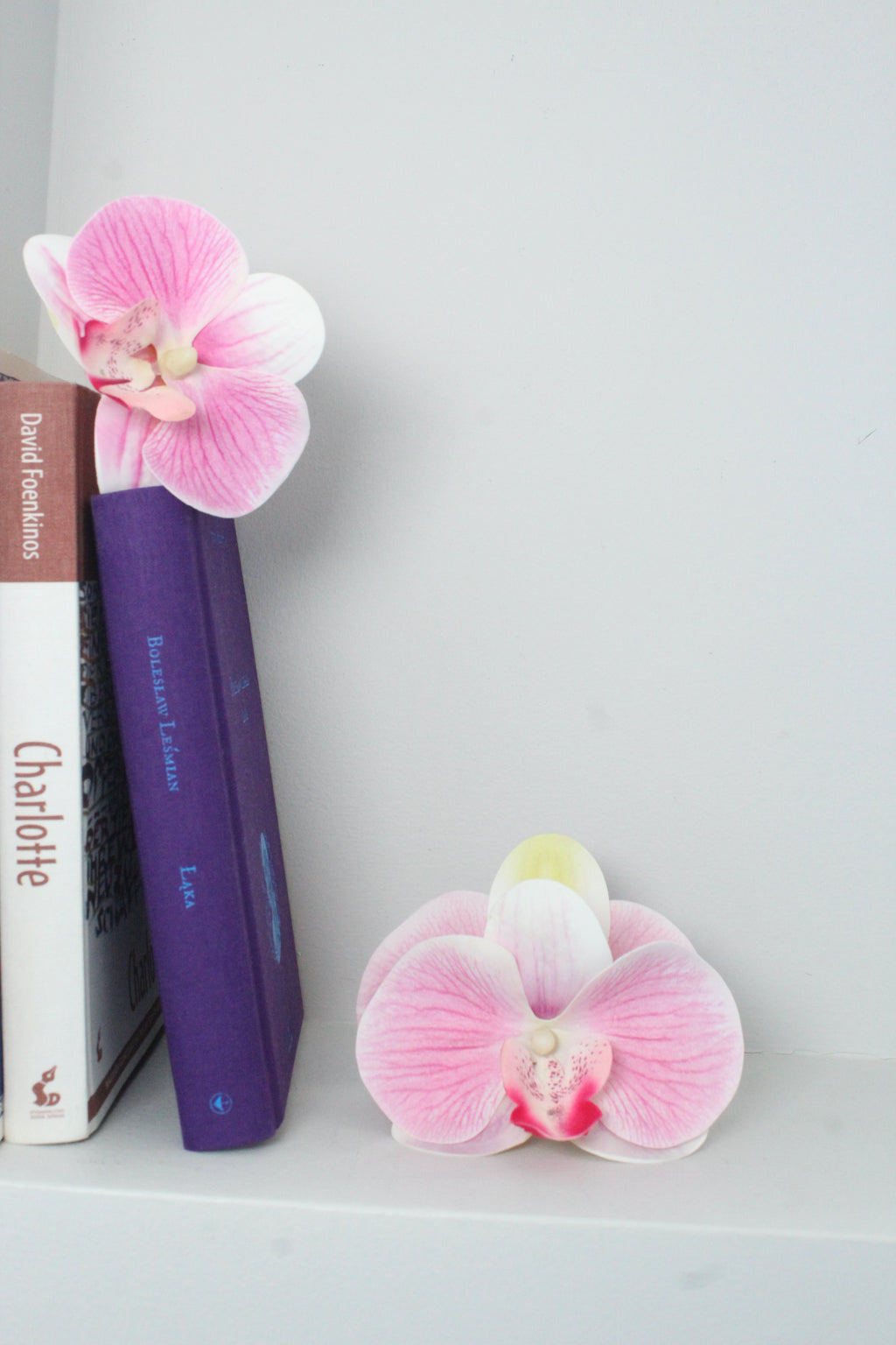 Spinka No.13 Orchidea Róż