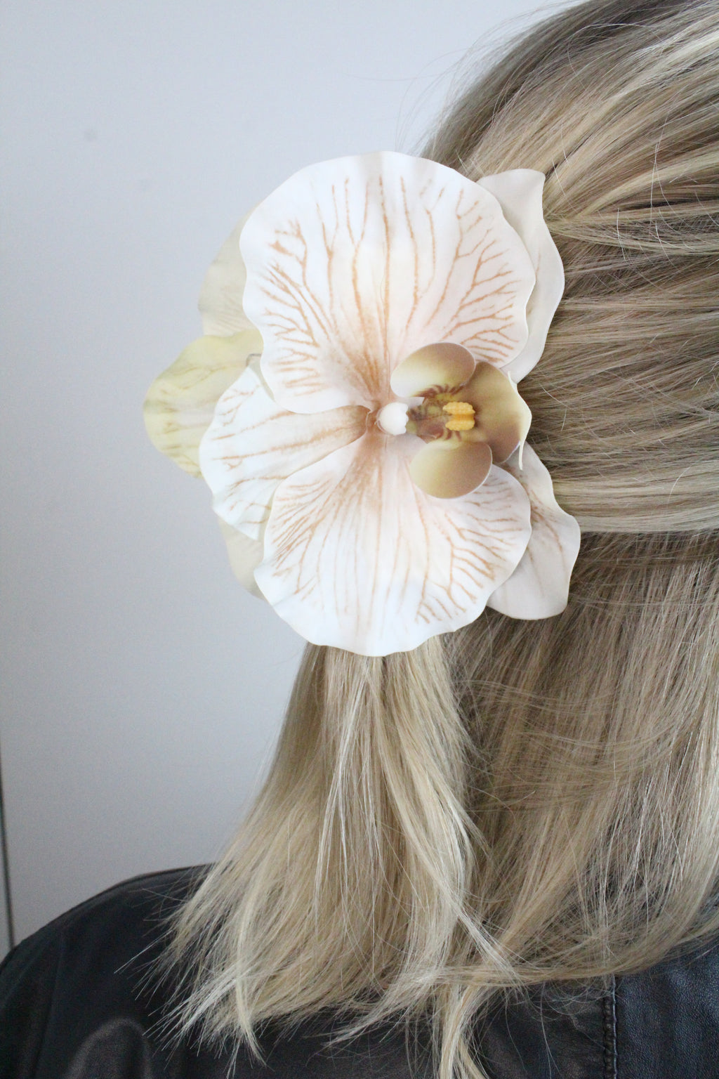 Orchid hair Clip No.5 Capuccino Orchid