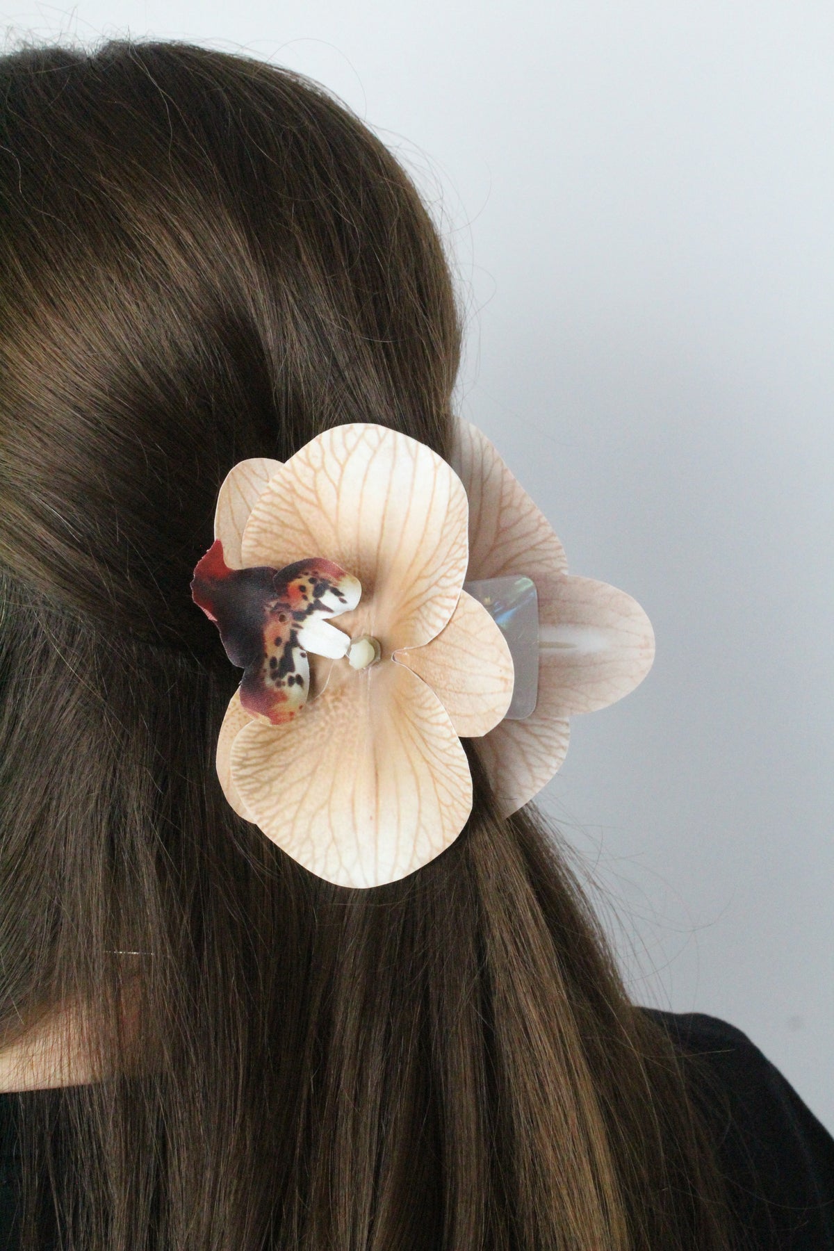 Spinka No.24 Mokka Orchidea