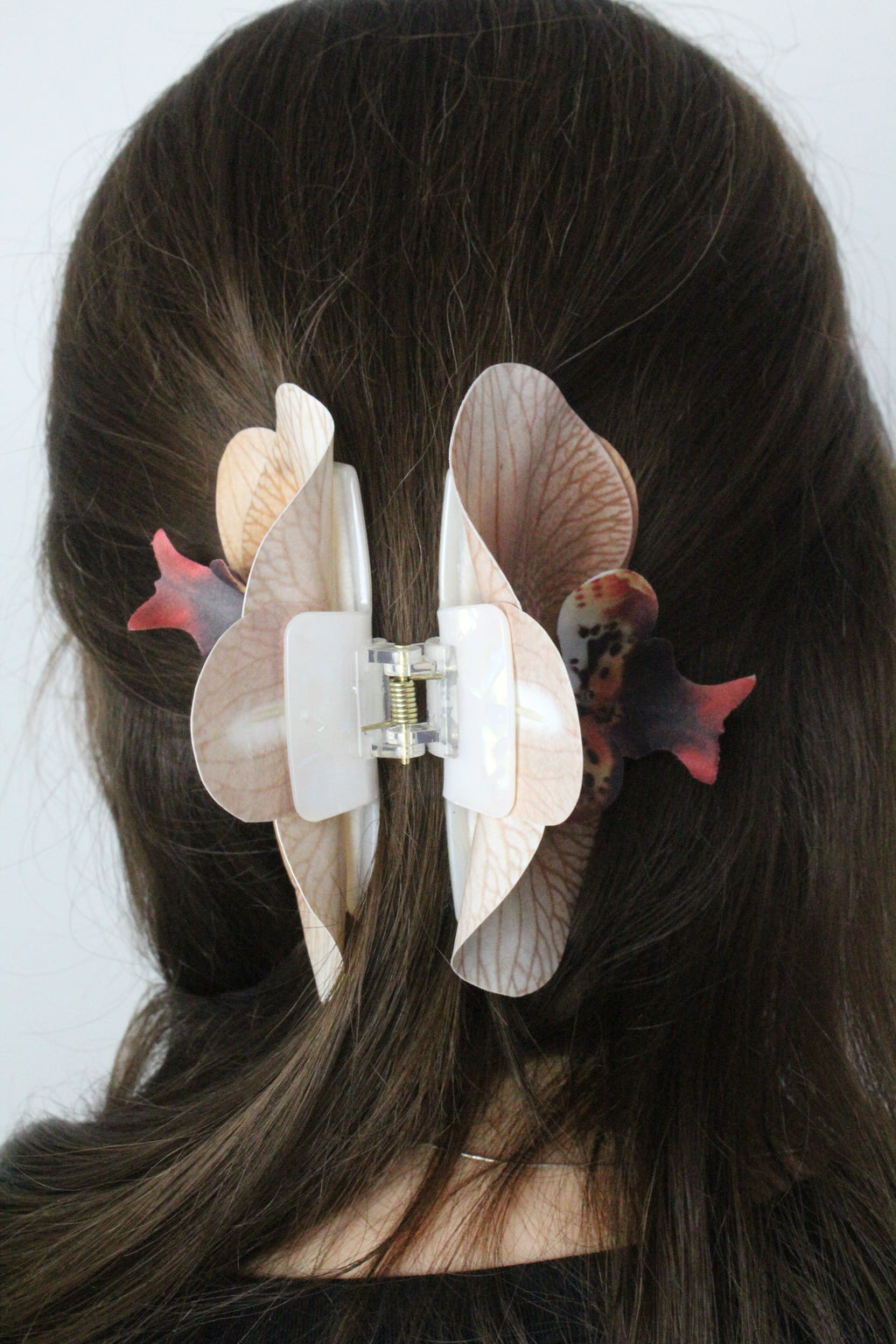 Spinka No.24 Mokka Orchidea