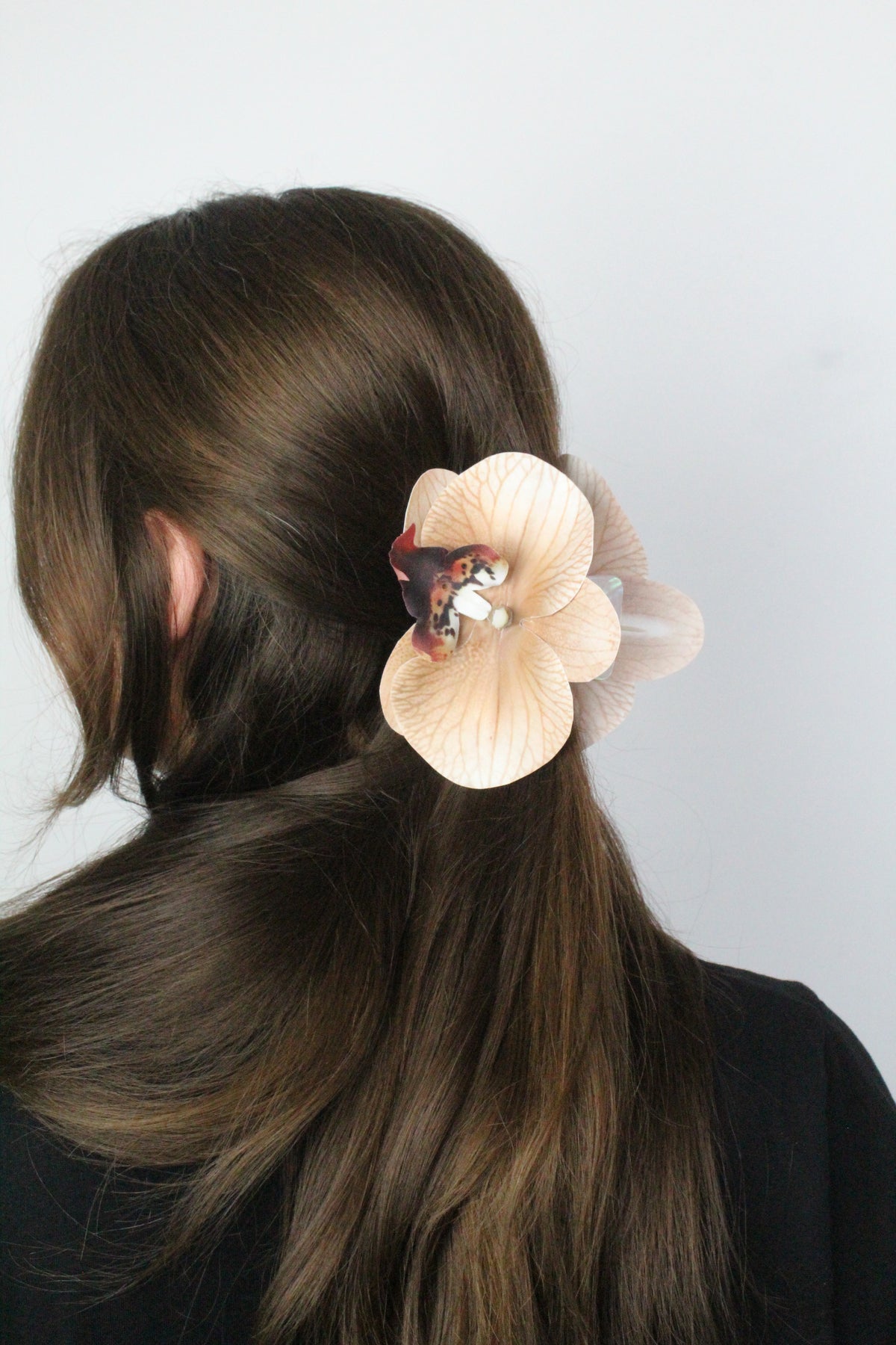 Spinka No.24 Mokka Orchidea