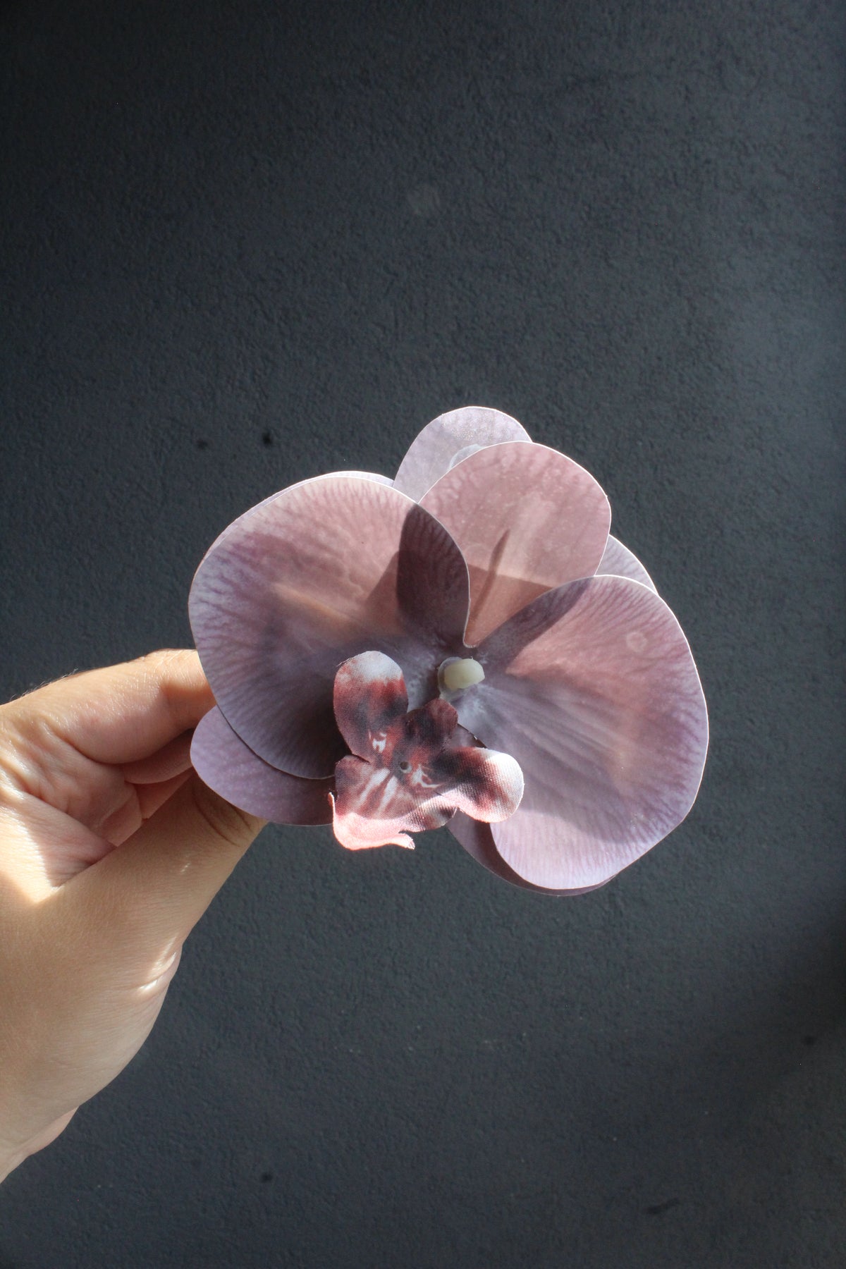 Spinka No.20 liliowa orchidea