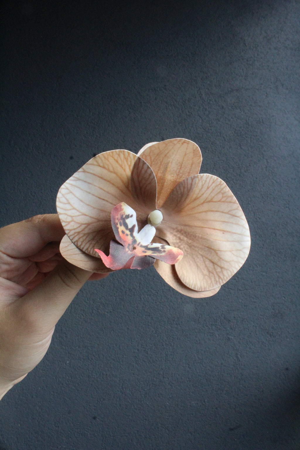 Spinka No.24 Mokka Orchidea