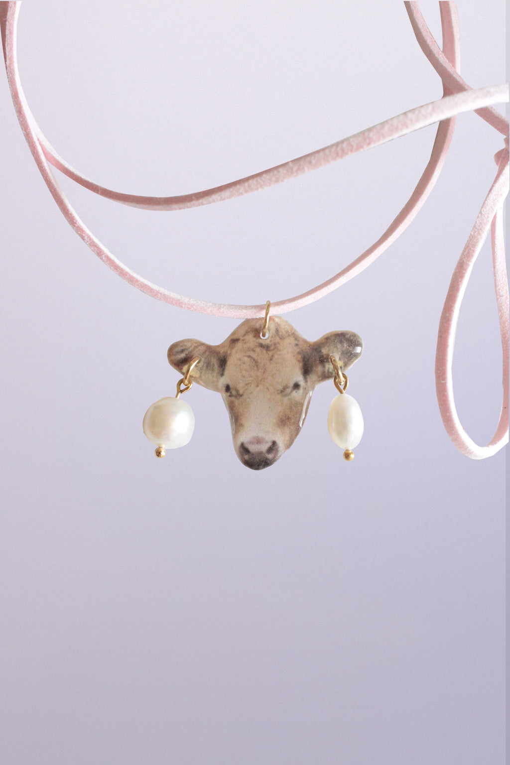 A cow with a piercing on a strap
